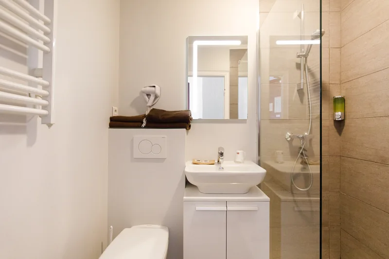 Salle de bain avec lavabo, miroir et douche