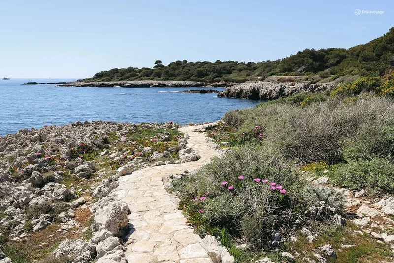 Sentier du littoral et rochers au Cap d’Antibes
